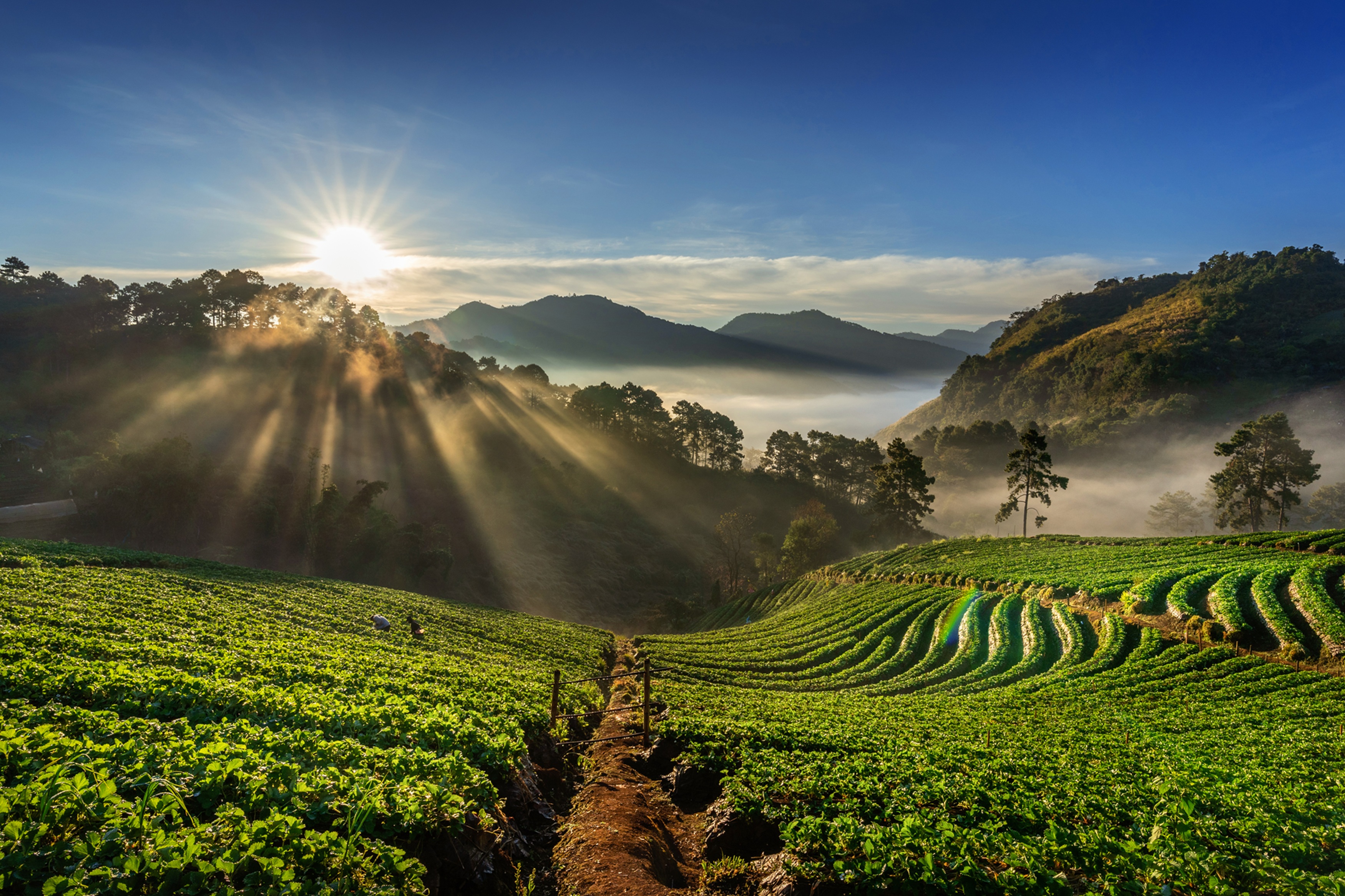 Mizoram Landscape